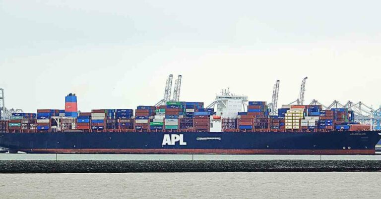 Cargo Ship M/V APL Qingdao Loses Control Near Verrazzano-Narrows Bridge
